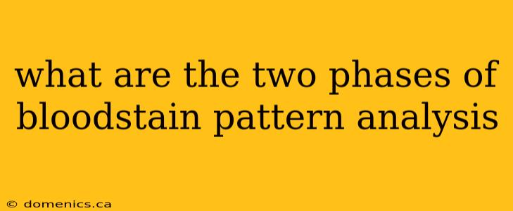 what are the two phases of bloodstain pattern analysis