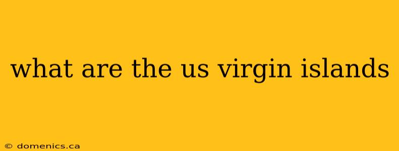 what are the us virgin islands