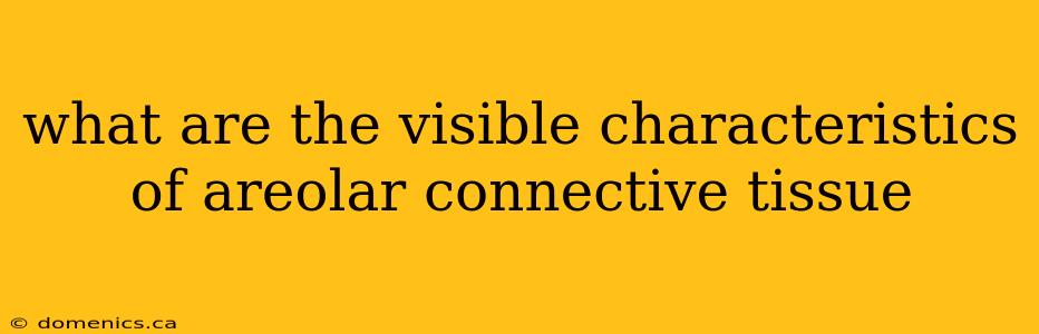 what are the visible characteristics of areolar connective tissue