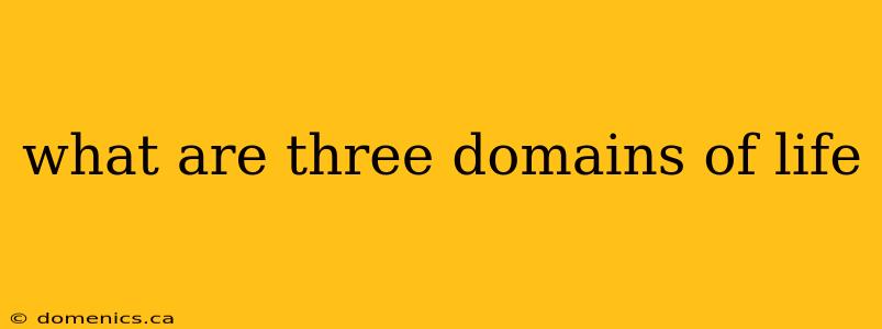 what are three domains of life