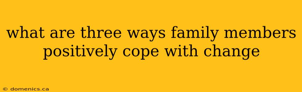 what are three ways family members positively cope with change