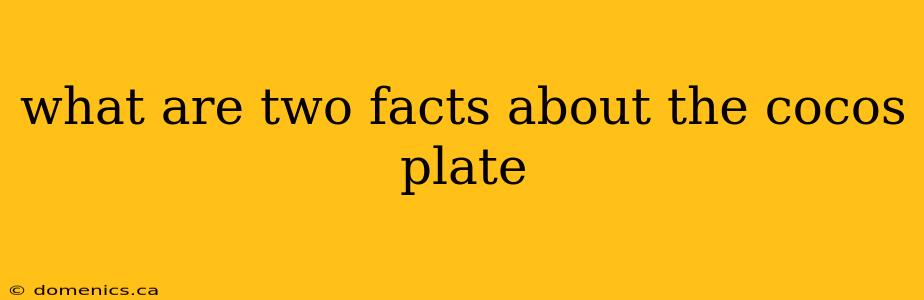 what are two facts about the cocos plate