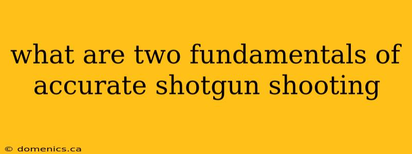 what are two fundamentals of accurate shotgun shooting