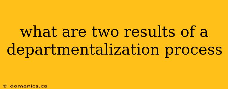 what are two results of a departmentalization process