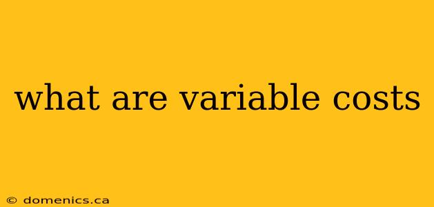 what are variable costs