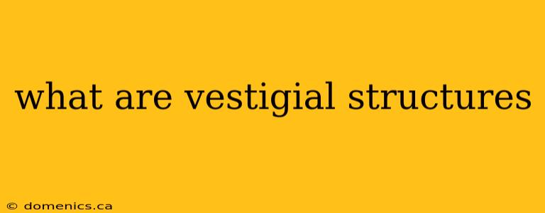 what are vestigial structures