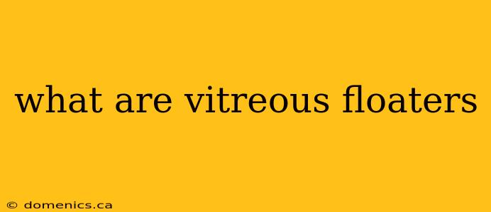 what are vitreous floaters