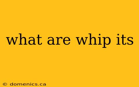 what are whip its