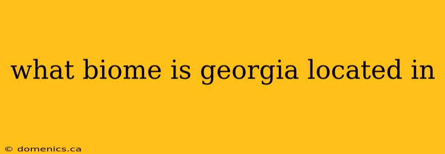 what biome is georgia located in