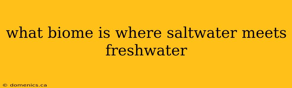 what biome is where saltwater meets freshwater