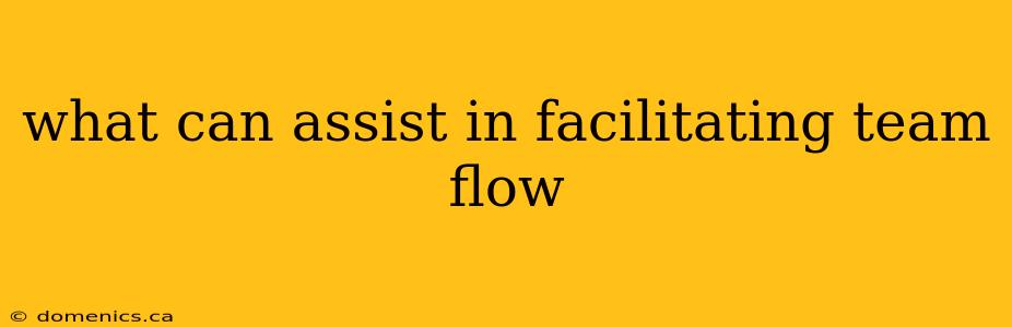 what can assist in facilitating team flow
