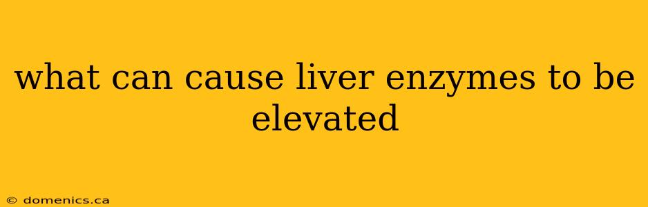 what can cause liver enzymes to be elevated