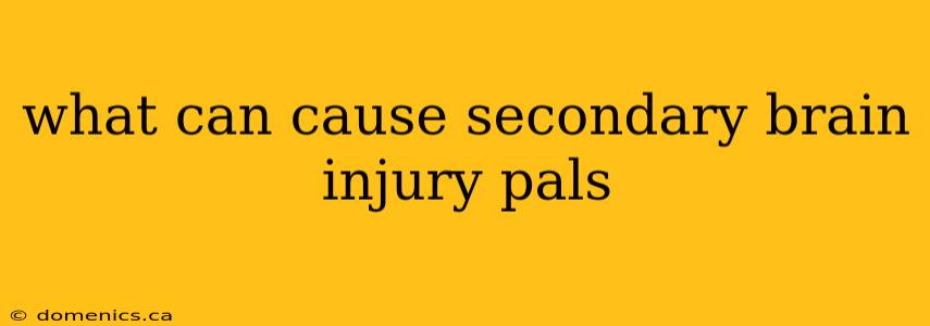 what can cause secondary brain injury pals