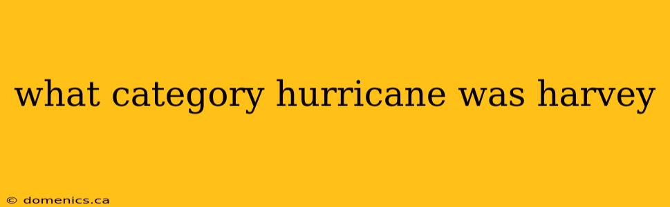 what category hurricane was harvey