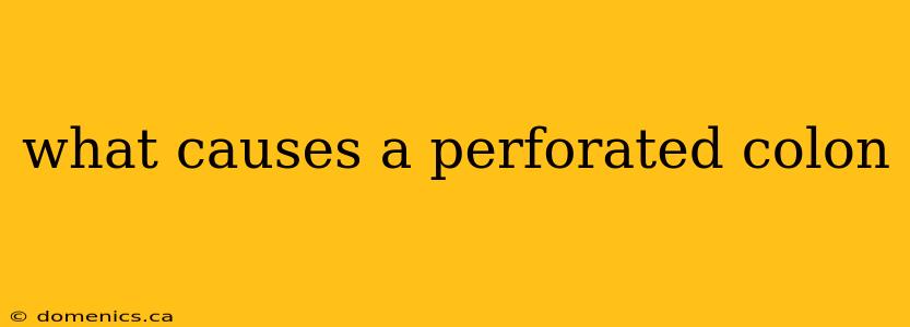 what causes a perforated colon