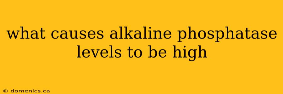 what causes alkaline phosphatase levels to be high