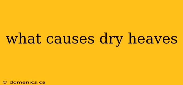 what causes dry heaves