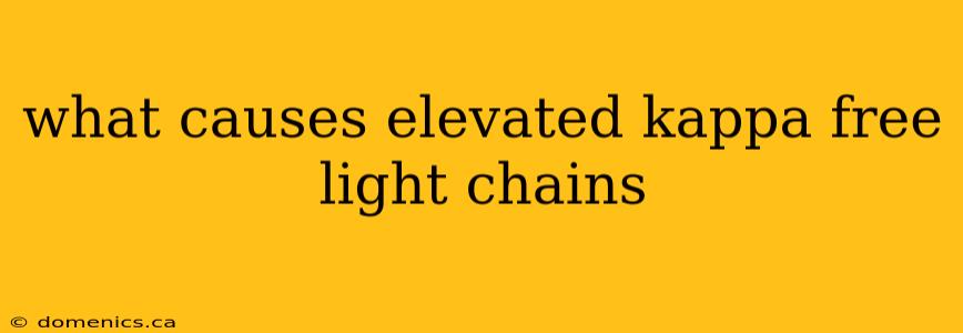 what causes elevated kappa free light chains