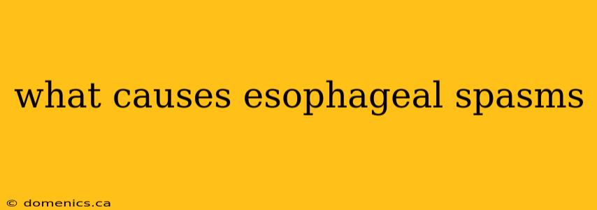 what causes esophageal spasms