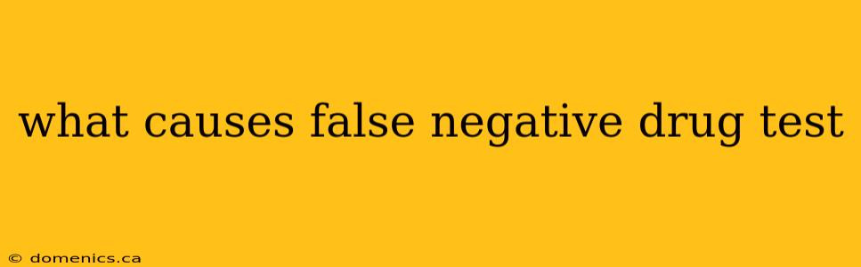 what causes false negative drug test