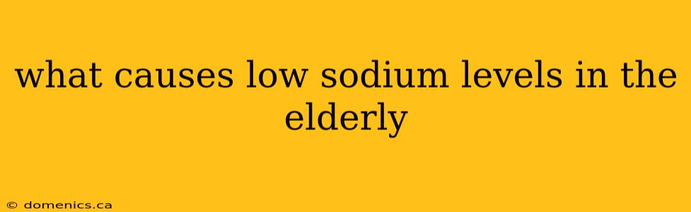 what causes low sodium levels in the elderly