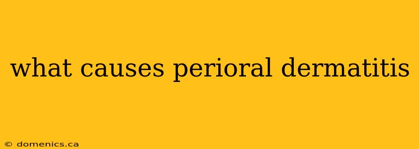 what causes perioral dermatitis