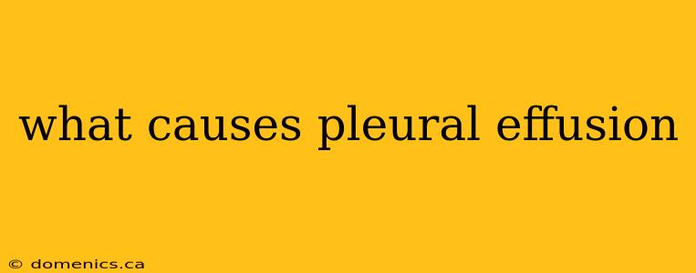 what causes pleural effusion