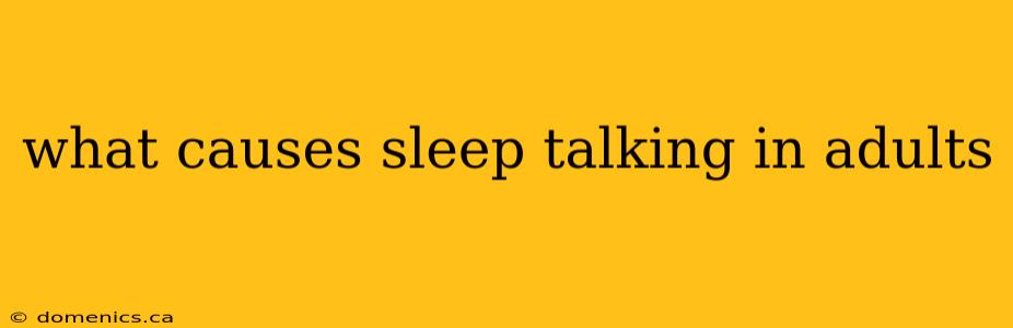 what causes sleep talking in adults