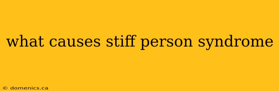 what causes stiff person syndrome