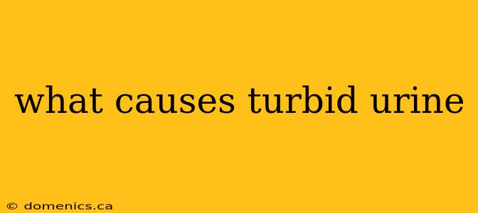 what causes turbid urine