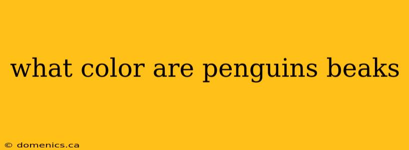 what color are penguins beaks