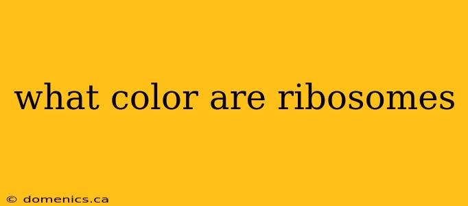 what color are ribosomes