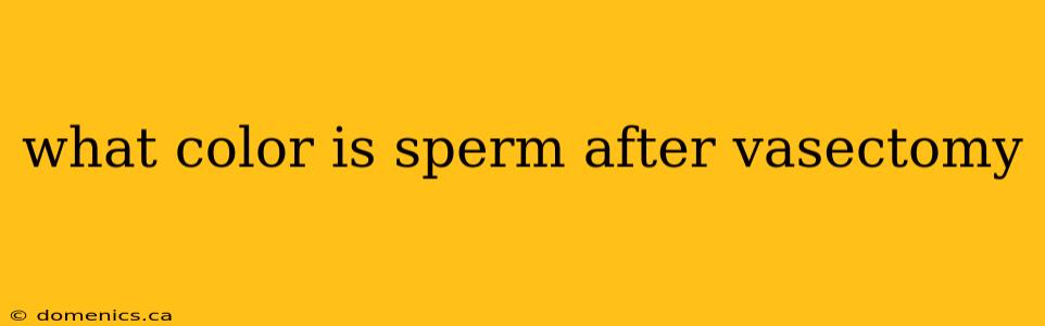 what color is sperm after vasectomy