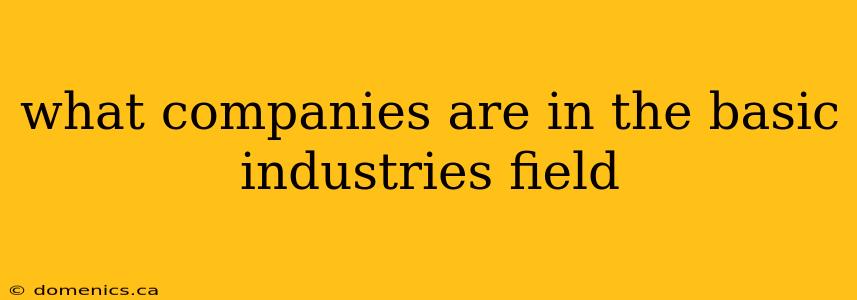 what companies are in the basic industries field