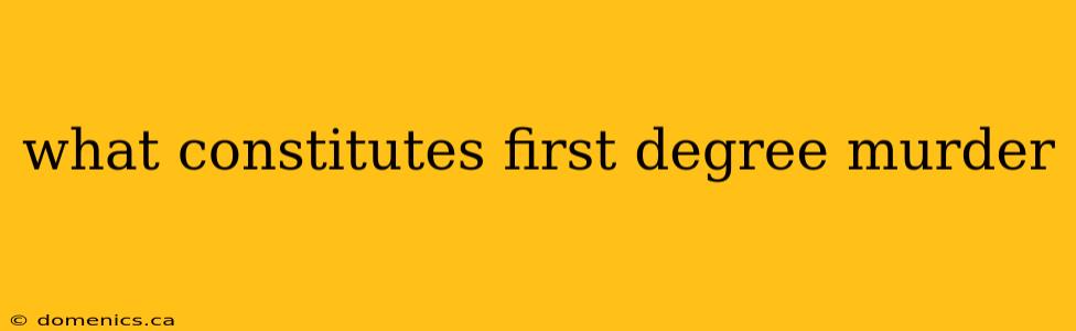 what constitutes first degree murder