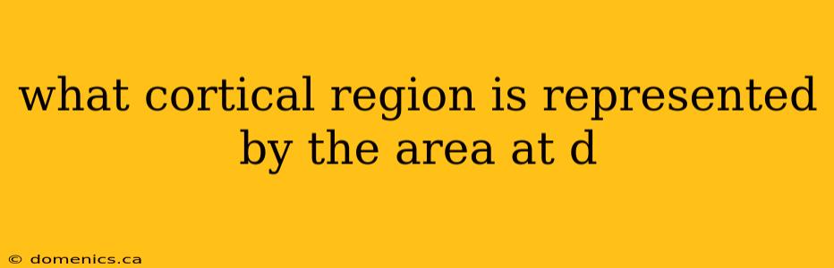 what cortical region is represented by the area at d
