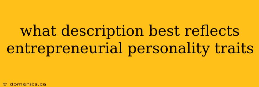 what description best reflects entrepreneurial personality traits