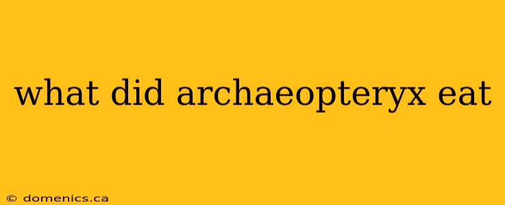 what did archaeopteryx eat