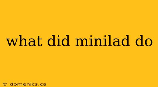 what did minilad do