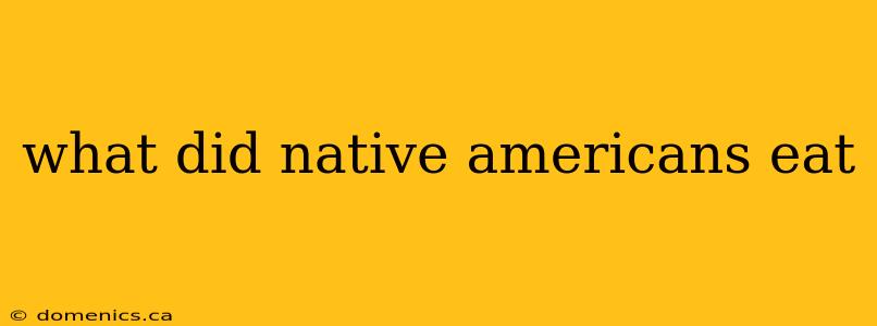 what did native americans eat