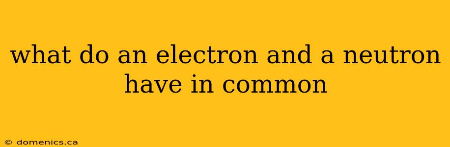 what do an electron and a neutron have in common