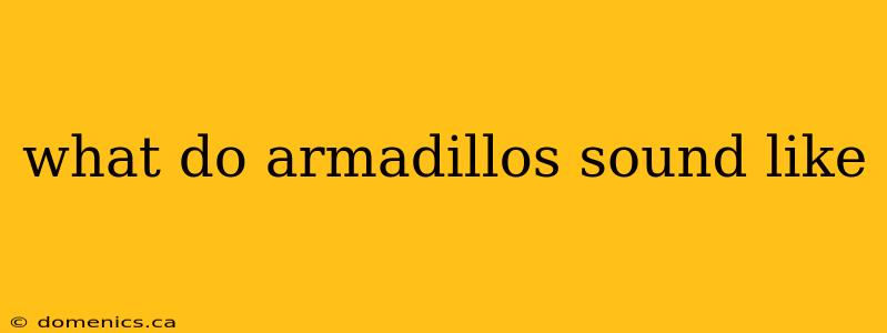 what do armadillos sound like