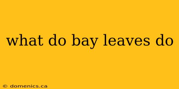 what do bay leaves do