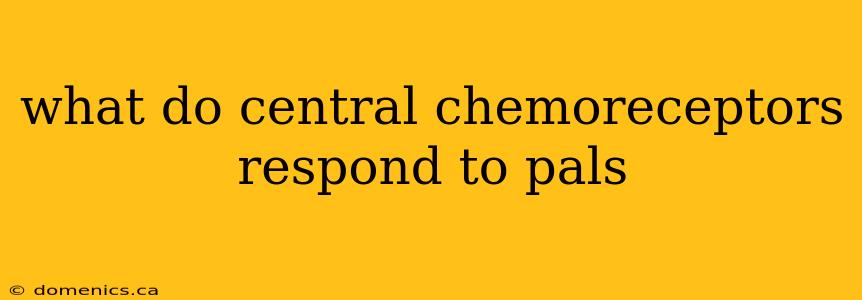 what do central chemoreceptors respond to pals