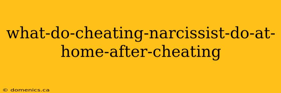 what-do-cheating-narcissist-do-at-home-after-cheating