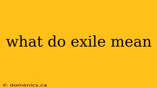 what do exile mean