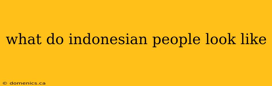 what do indonesian people look like