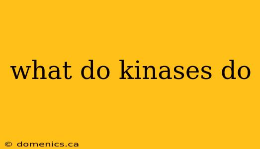 what do kinases do