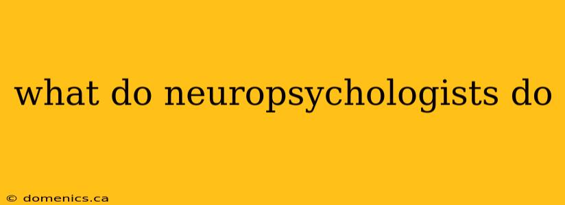 what do neuropsychologists do