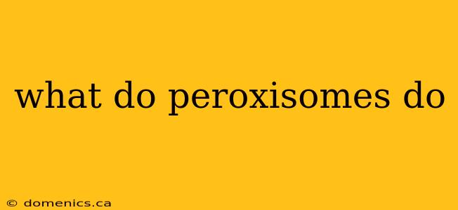 what do peroxisomes do